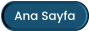 Ana Sayfa